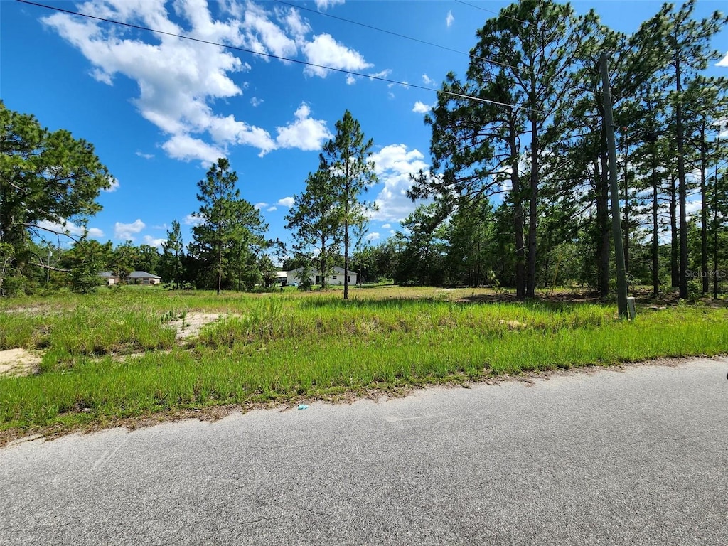 Malauka Radial Run, Ocklawaha, FL 32179