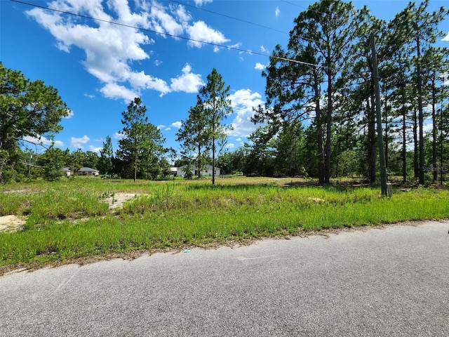 Malauka Radial Run, Ocklawaha, FL 32179