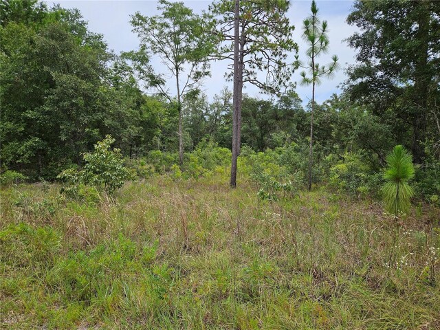 919 NE 148th Ct, Williston, FL 32696 - photo 1