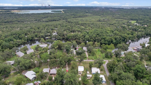 5328 Riverside Dr, Yankeetown, FL 34498 - aerial view of property's location featuring a forest and a large body of water