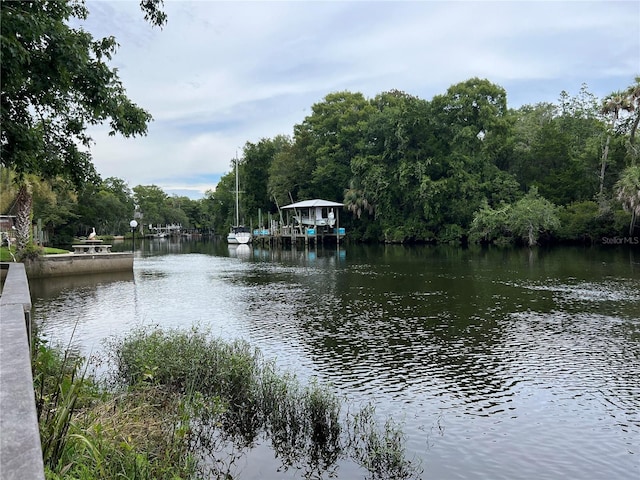 5328 Riverside Dr, Yankeetown, FL 34498 - water view featuring a heavily wooded area