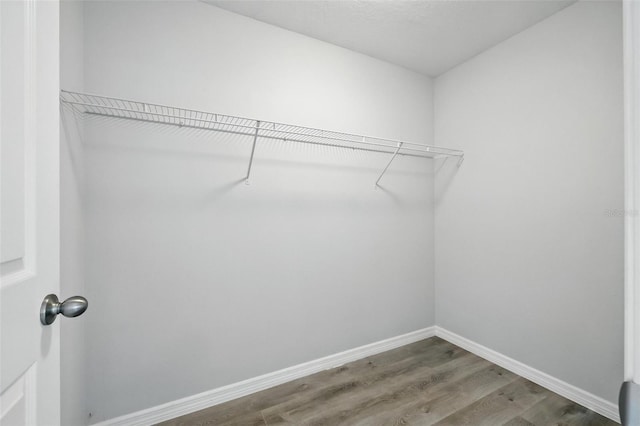 16656 Sw 21st Avenue Rd, Ocala, FL 34473 - photo 21