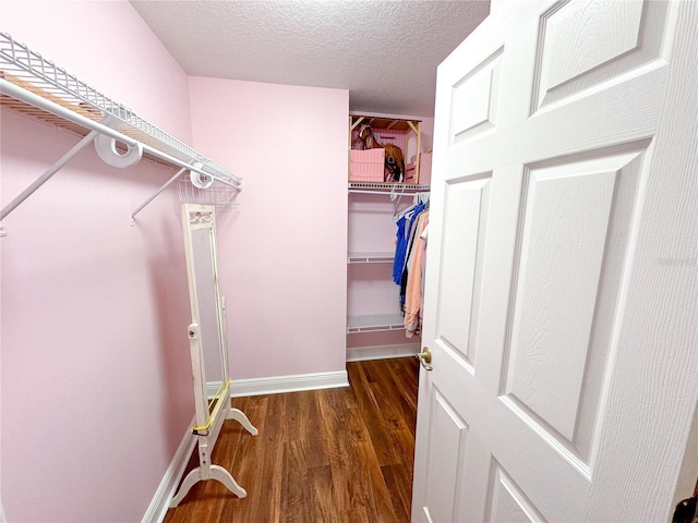 6282 NE 61st Avenue Rd, Silver Springs, FL 34488 - photo 51