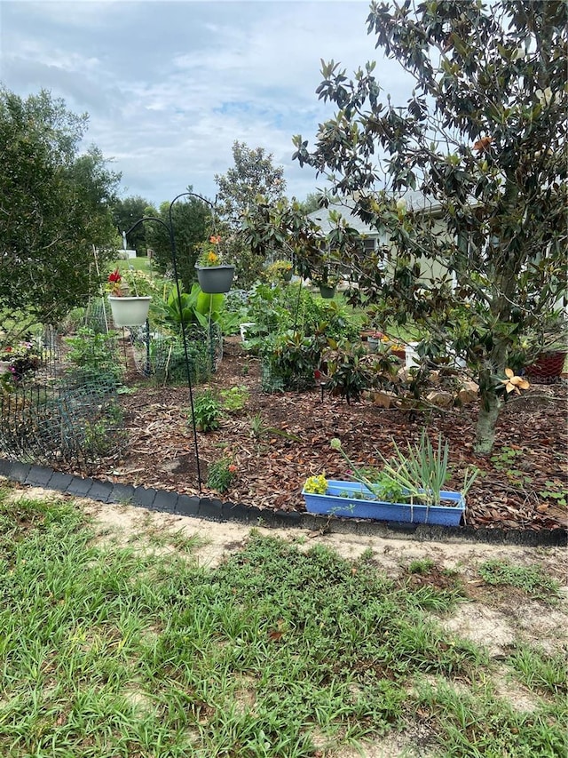 9771 SW 97th Ln, Ocala, FL 34481 - view of yard