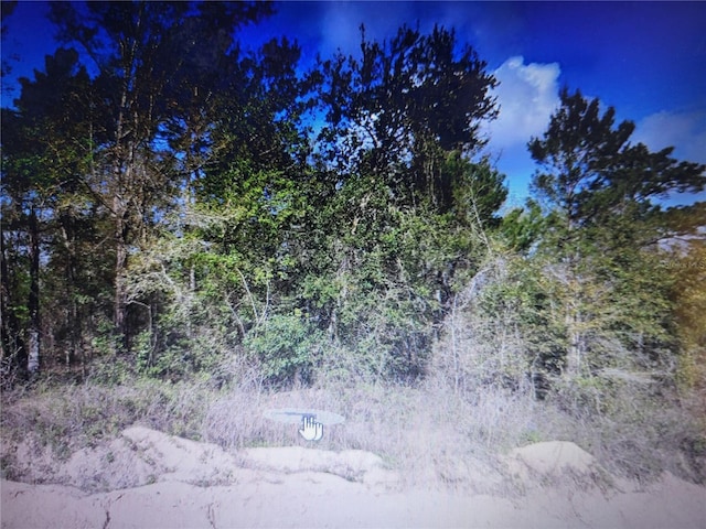 Grey, Interlachen, FL 32148