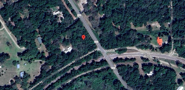 Old Hawthorne Rd, Hawthorne, FL 32640 - photo 4