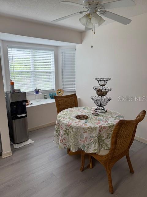 19052 SW 91st Ln, Dunnellon, FL 34432 - photo 13