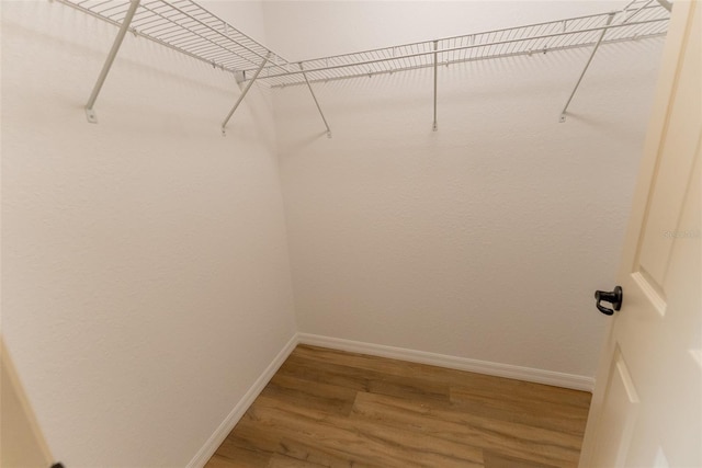 21 Locust Loop Radl, Ocala, FL 34472 - spacious closet featuring light wood-style floors