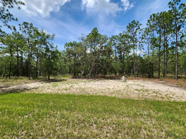 24780 NW Hillsdale Ave, Dunnellon, FL 34431 - photo 11