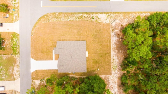 45 Pecan Course Loop, Ocala, FL 34472 - bird's eye view