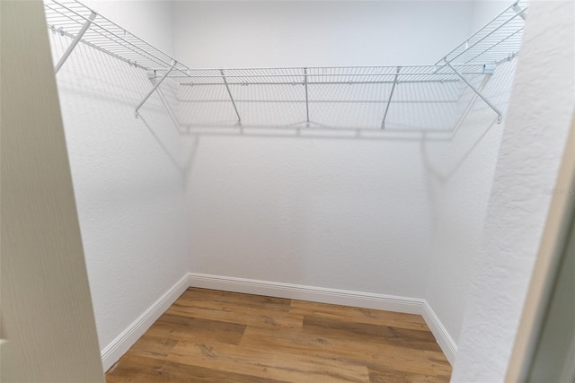 45 Pecan Course Loop, Ocala, FL 34472 - spacious closet with wood finished floors