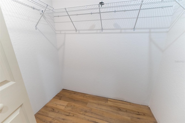 45 Pecan Course Loop, Ocala, FL 34472 - walk in closet featuring light wood finished floors