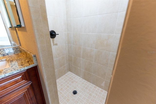 45 Pecan Course Loop, Ocala, FL 34472 - full bath featuring a tile shower and vanity