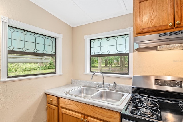 3850 SE 145th St, Summerfield, FL 34491 - photo 14