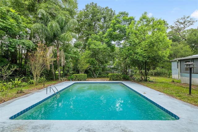 3850 SE 145th St, Summerfield, FL 34491 - photo 25