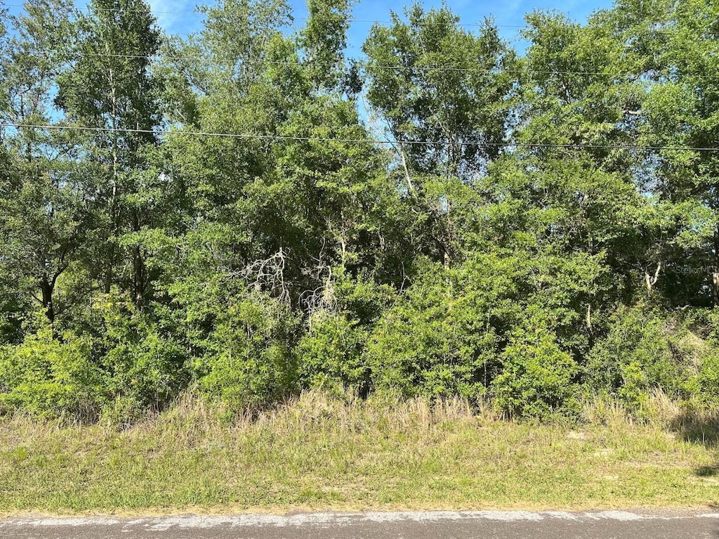 10713 N Adler Dr, Citrus Springs, FL 34434 - photo 2