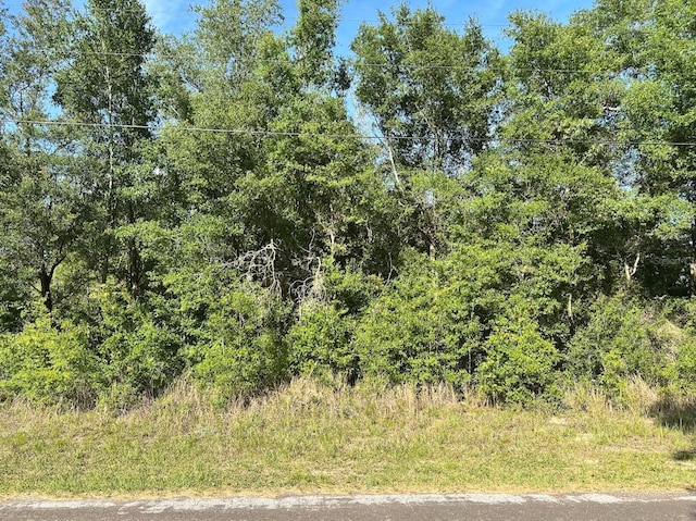 10713 N Adler Dr, Citrus Springs, FL 34434 - photo 2