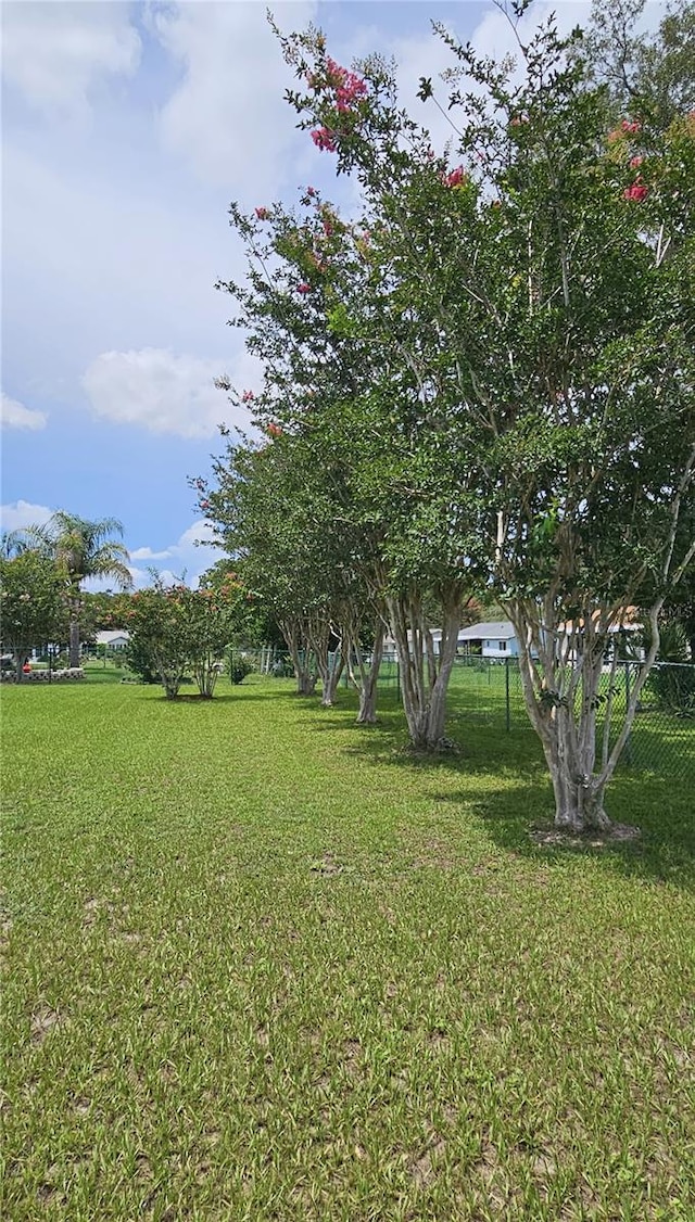 10963 SW 79th Ter, Ocala, FL 34476 - photo 8