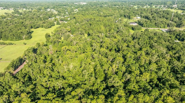 4701 NE Jacksonville Rd, Ocala, FL 34479 - photo 4