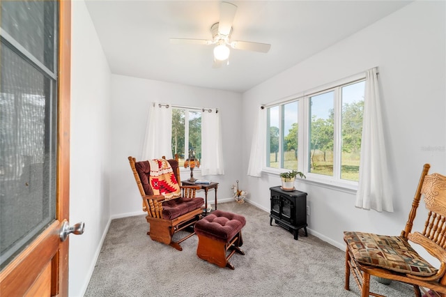23717 SW Zephyr Hill Ct, Dunnellon, FL 34431 - photo 46