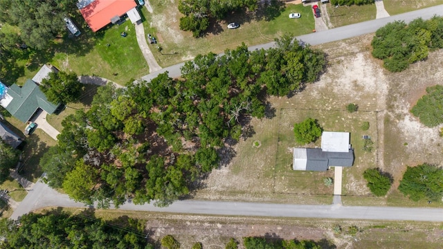 23717 SW Zephyr Hill Ct, Dunnellon, FL 34431 - photo 72