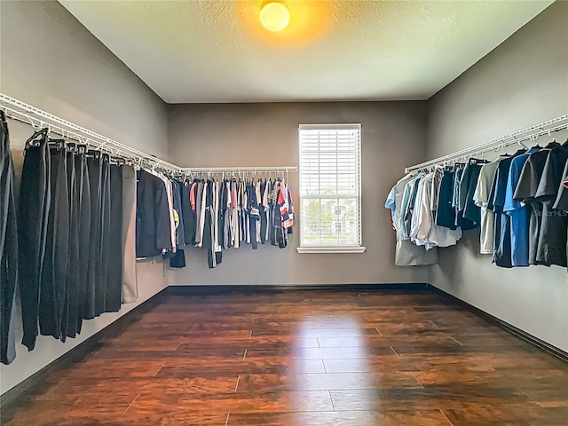 2005 Hawks Landing Dr, Orlando, FL 32820 - photo 50