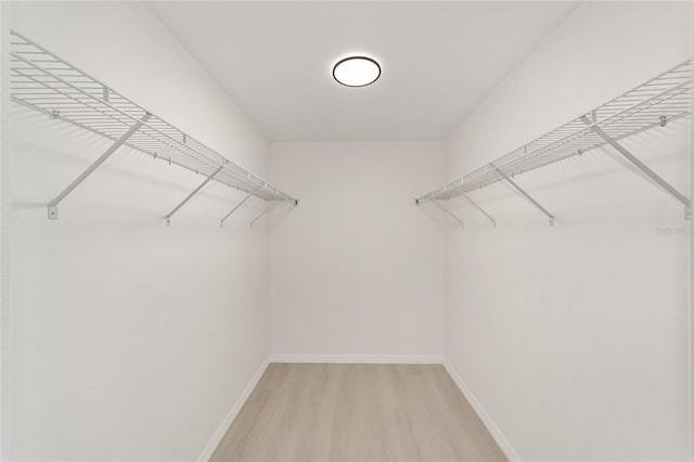 1581 SW Paradise Heights Rd, Dunnellon, FL 34431 - walk in closet featuring light wood-type flooring