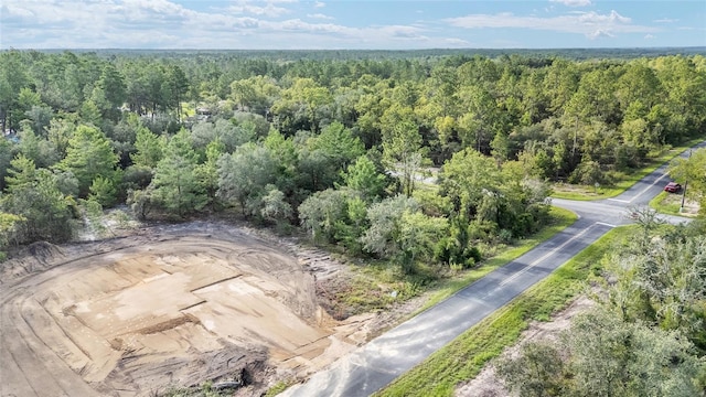 1581 SW Paradise Heights Rd, Dunnellon, FL 34431 - photo 27