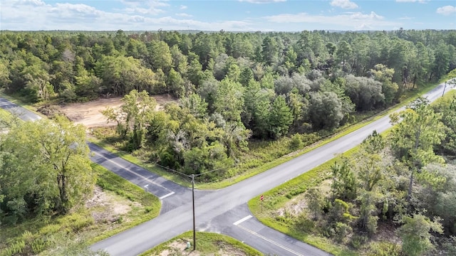 1581 SW Paradise Heights Rd, Dunnellon, FL 34431 - photo 28