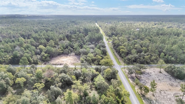 1581 SW Paradise Heights Rd, Dunnellon, FL 34431 - photo 29
