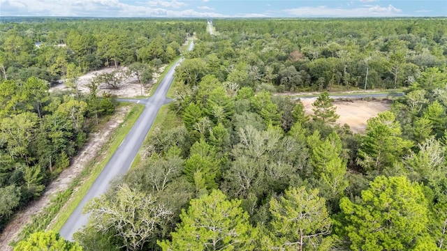 1581 SW Paradise Heights Rd, Dunnellon, FL 34431 - photo 31