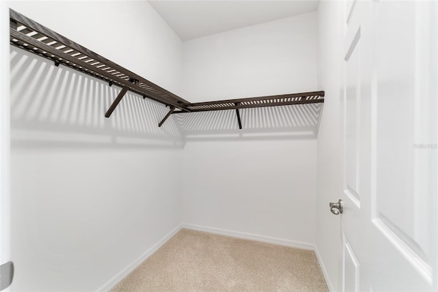 7845 SW 80th Place Rd, Ocala, FL 34476 - photo 19