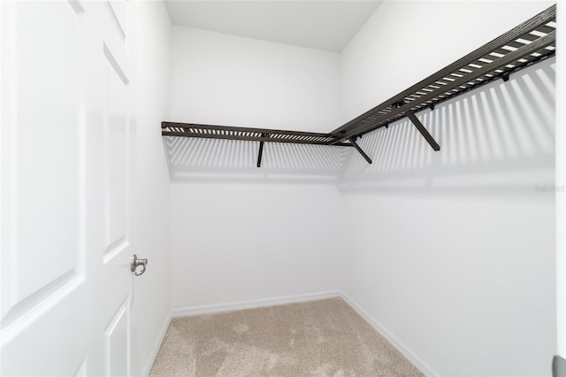 7845 SW 80th Place Rd, Ocala, FL 34476 - photo 20