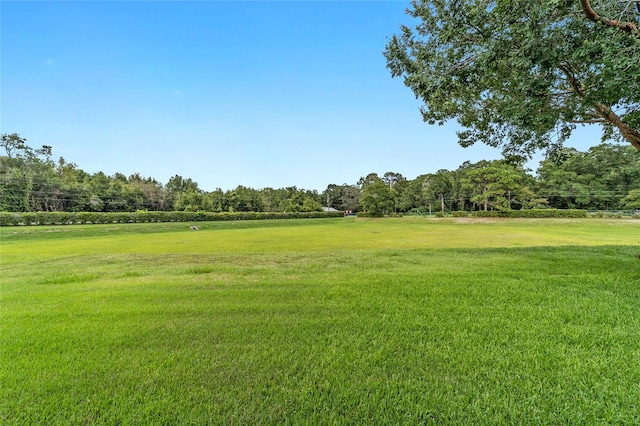 7845 SW 80th Place Rd, Ocala, FL 34476 - photo 32