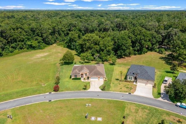 19583 SW 77th Loop, Dunnellon, FL 34432 - bird's eye view of a forest