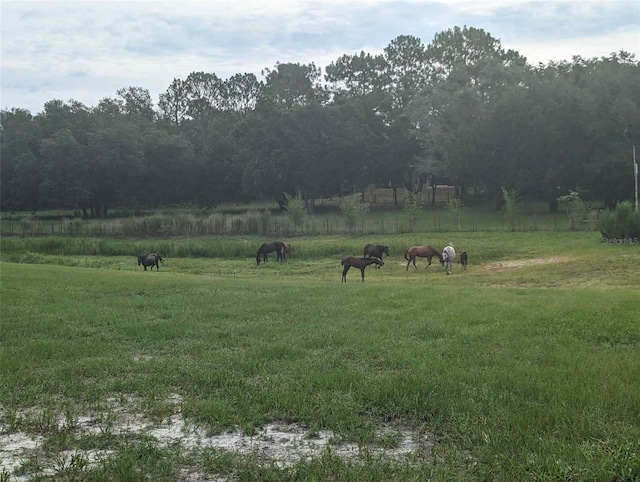 11151 SE 30th St, Morriston, FL 32668 - photo 7