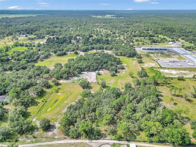 11151 SE 30th St, Morriston, FL 32668 - photo 39