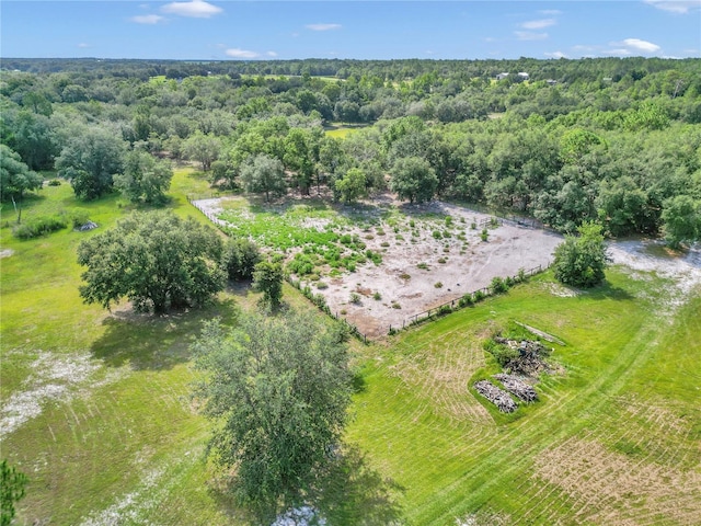 11151 SE 30th St, Morriston, FL 32668 - photo 40