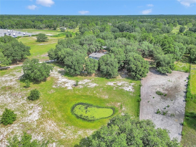 11151 SE 30th St, Morriston, FL 32668 - photo 41