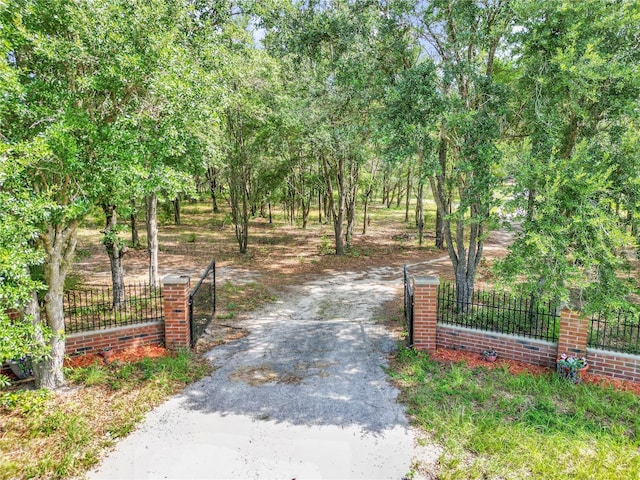 11151 SE 30th St, Morriston, FL 32668 - photo 44