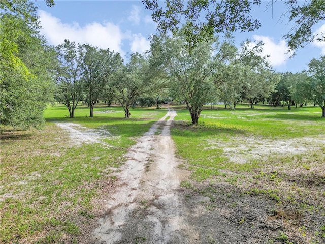 11151 SE 30th St, Morriston, FL 32668 - photo 45