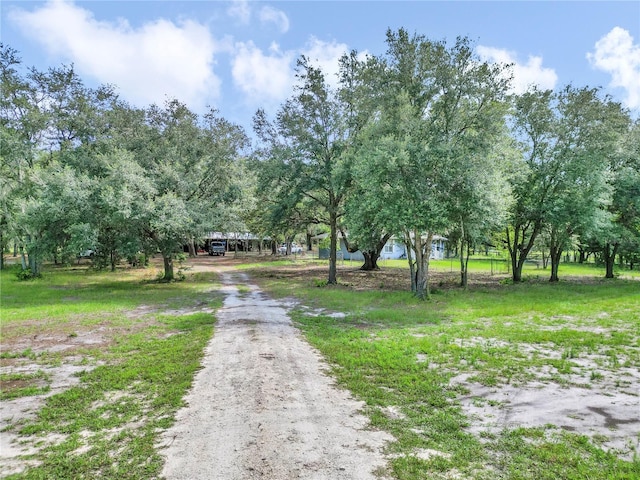 11151 SE 30th St, Morriston, FL 32668 - photo 46