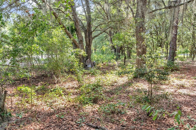 11151 SE 30th St, Morriston, FL 32668 - photo 47