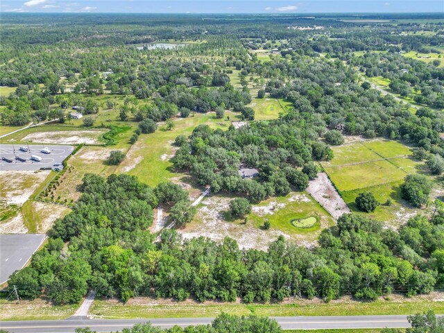 11151 SE 30th St, Morriston, FL 32668 - photo 4