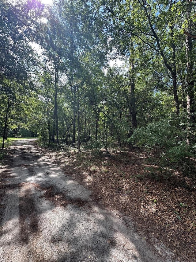 TBD NE 225th Pl, Fort Mc Coy, FL 32134 - photo 2