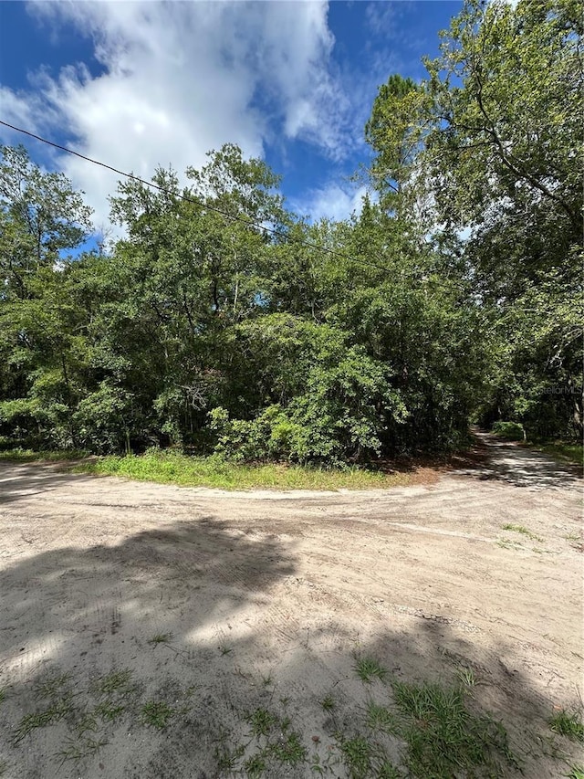 TBD NE 225th Pl, Fort Mc Coy, FL 32134 - photo 1