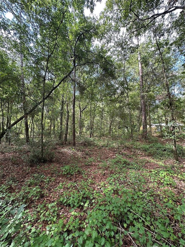 TBD NE 225th Pl, Fort Mc Coy, FL 32134 - photo 3
