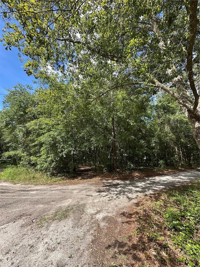 TBD NE 225th Pl, Fort Mc Coy, FL 32134 - photo 4