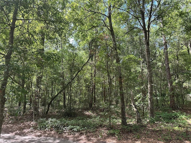 TBD NE 225th Pl, Fort Mc Coy, FL 32134 - photo 5