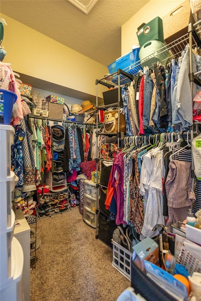 2587 W Angola Dr, Beverly Hills, FL 34465 - spacious closet with carpet flooring